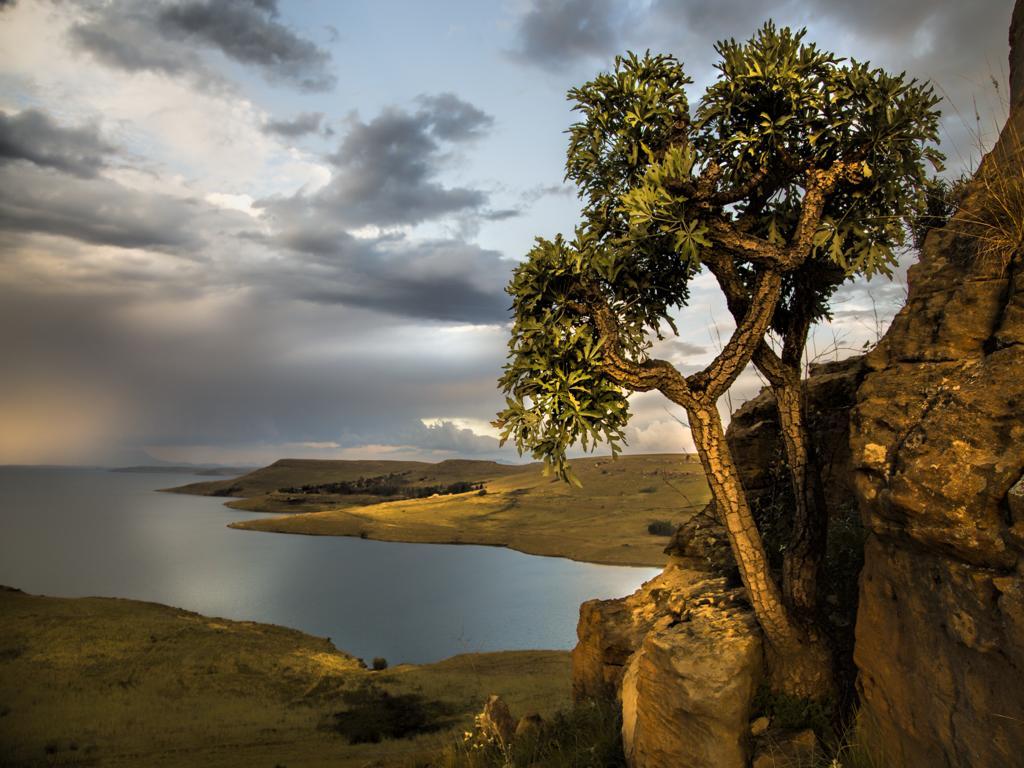Wild Horses Lodge Harrismith Kültér fotó